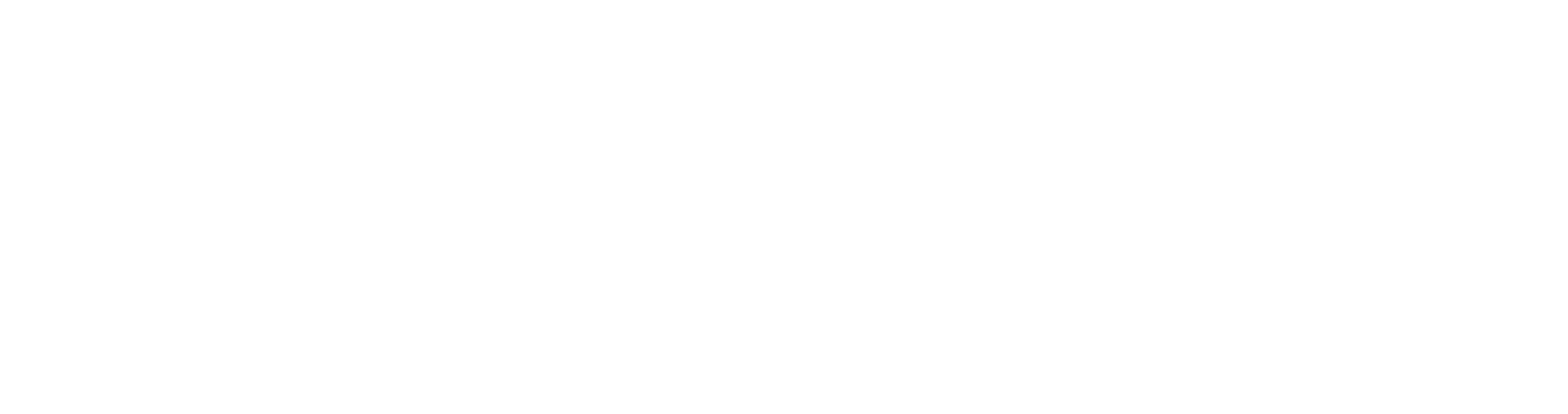 VeNiss Logo